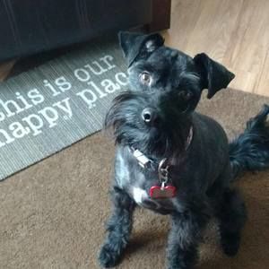 Meet your Posher, Pat